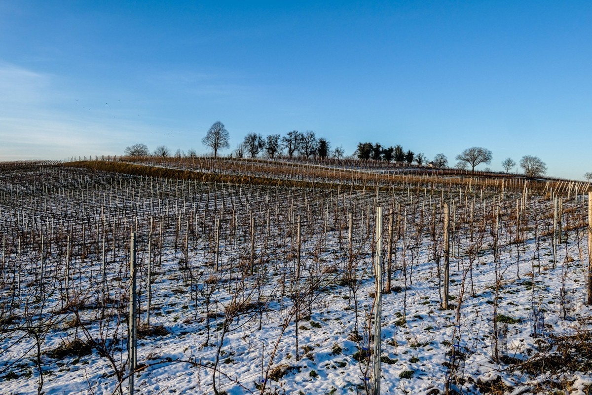 雪景山野（南德）