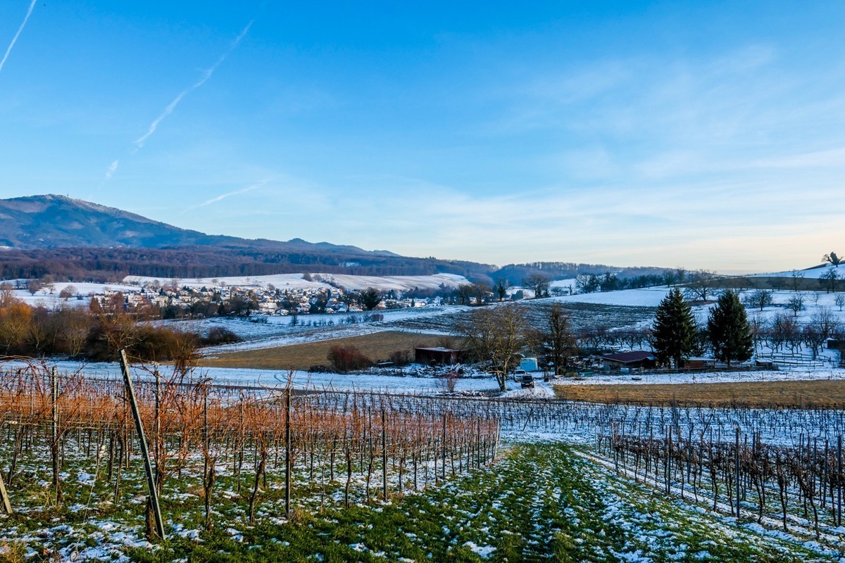 雪景山野（南德）