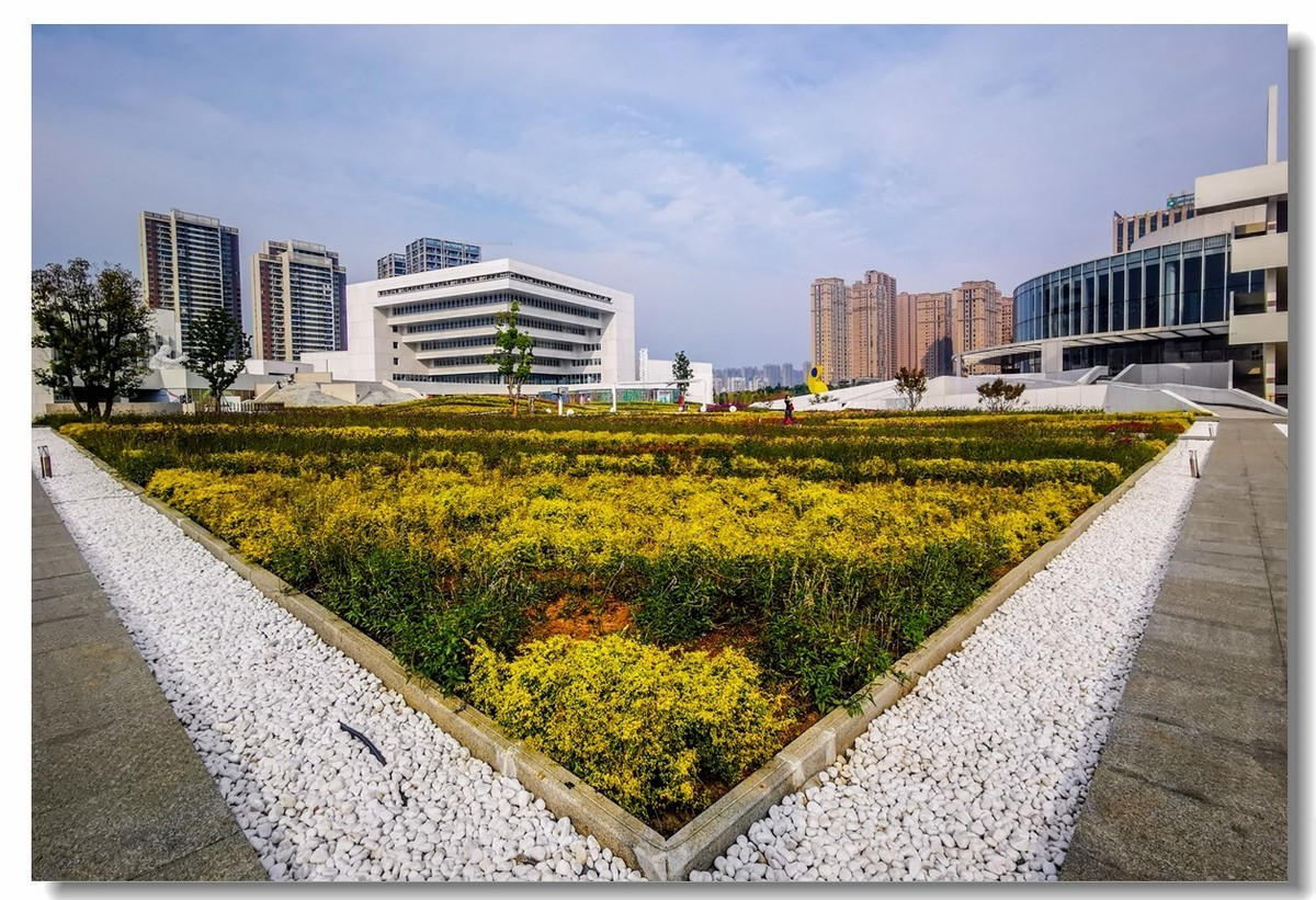 文化中心（武汉东西湖）