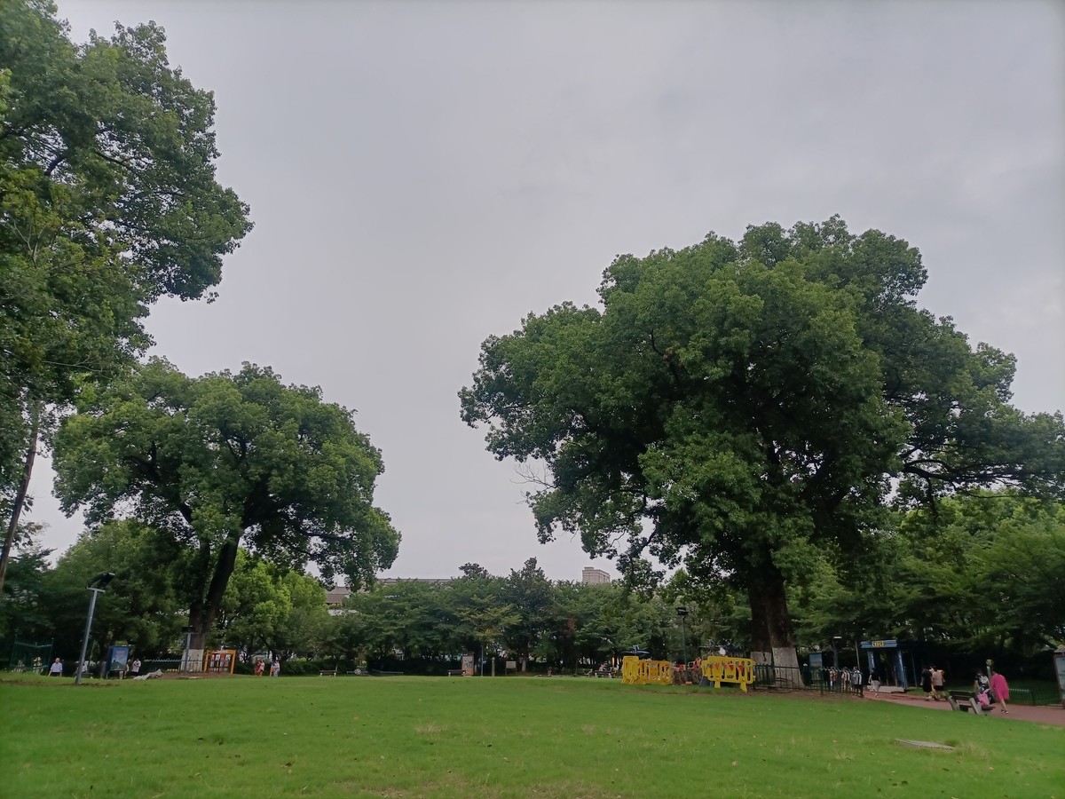 我和春天有场约会