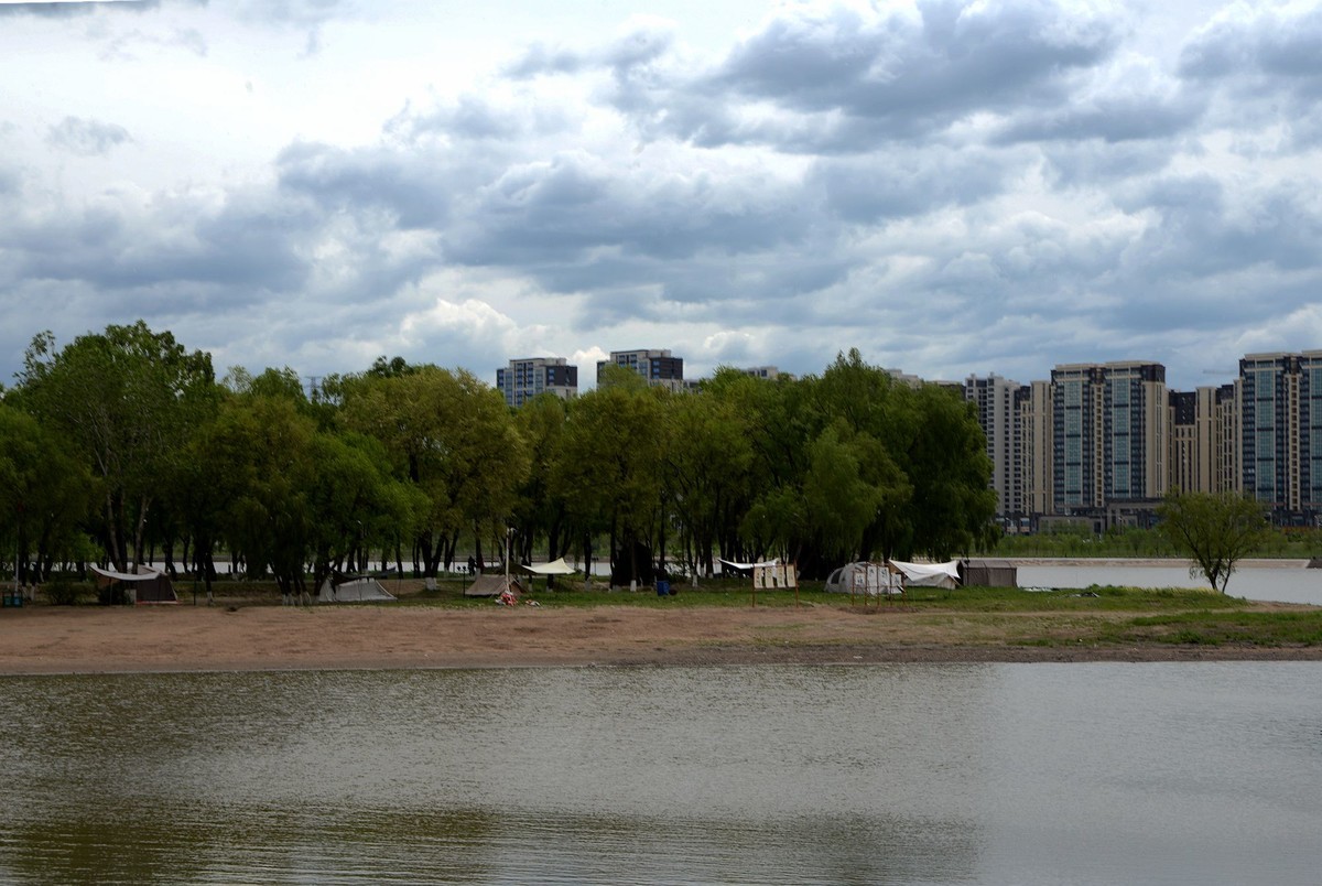 江滨——江心岛之春（7）