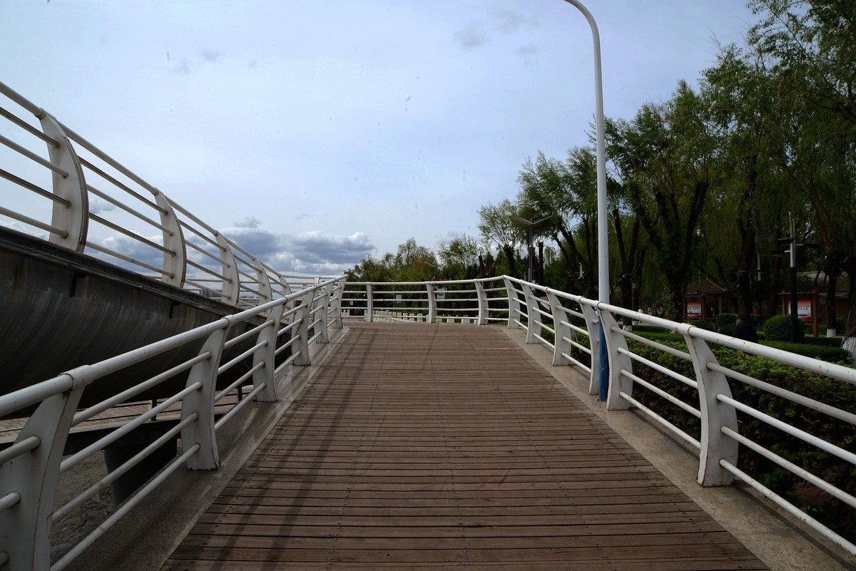 江滨——江心岛之春（7）