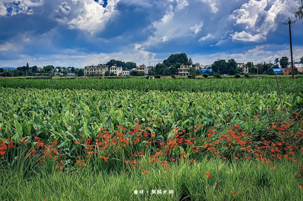 曲靖 · 麒麟水乡（2）