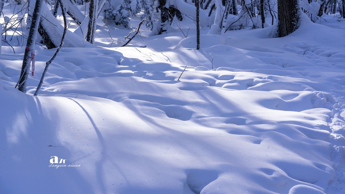 老克里湖林海雪原（36）