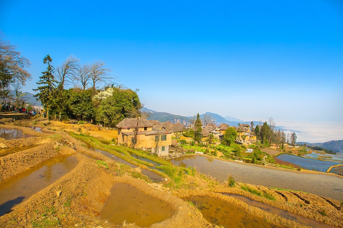 2025-04-30云南元阳阿者科梯田（一）