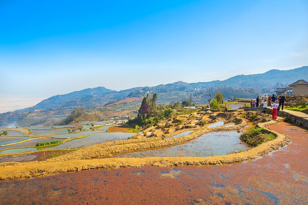 2025-04-30云南元阳阿者科梯田（一）