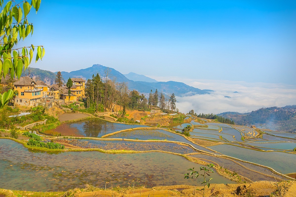 2025-04-30云南元阳阿者科梯田（一）