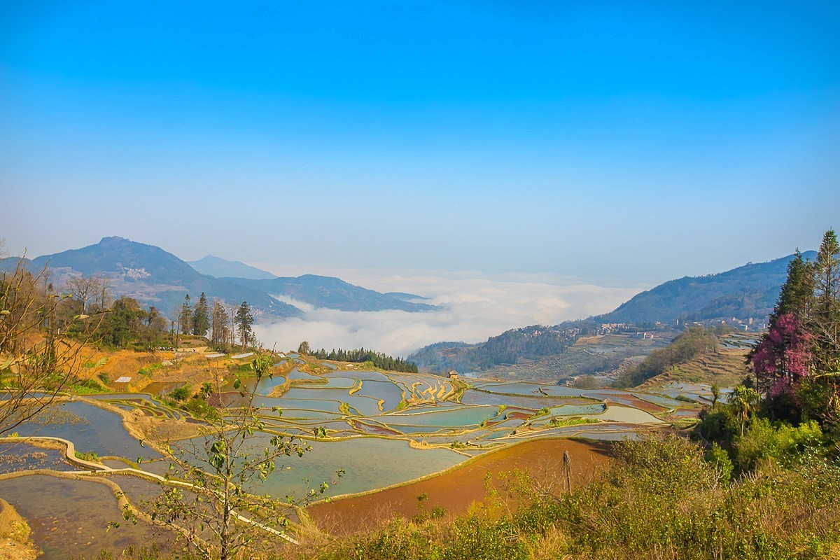 2025-04-30云南元阳阿者科梯田（一）