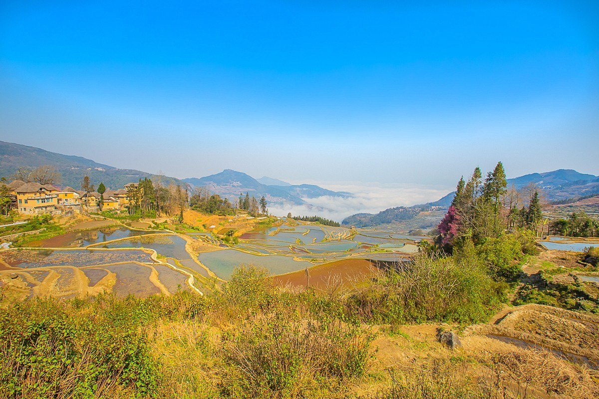 2025-04-30云南元阳阿者科梯田（一）