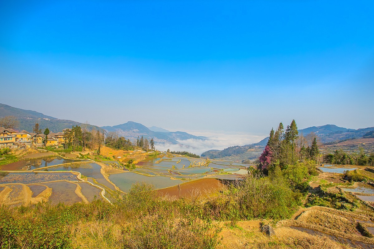 2025-04-30云南元阳阿者科梯田（一）