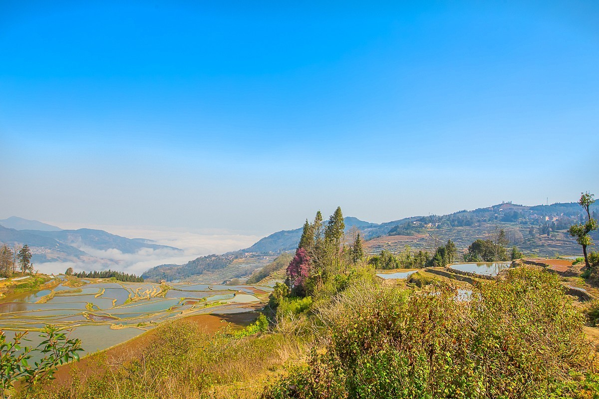 2025-04-30云南元阳阿者科梯田（一）