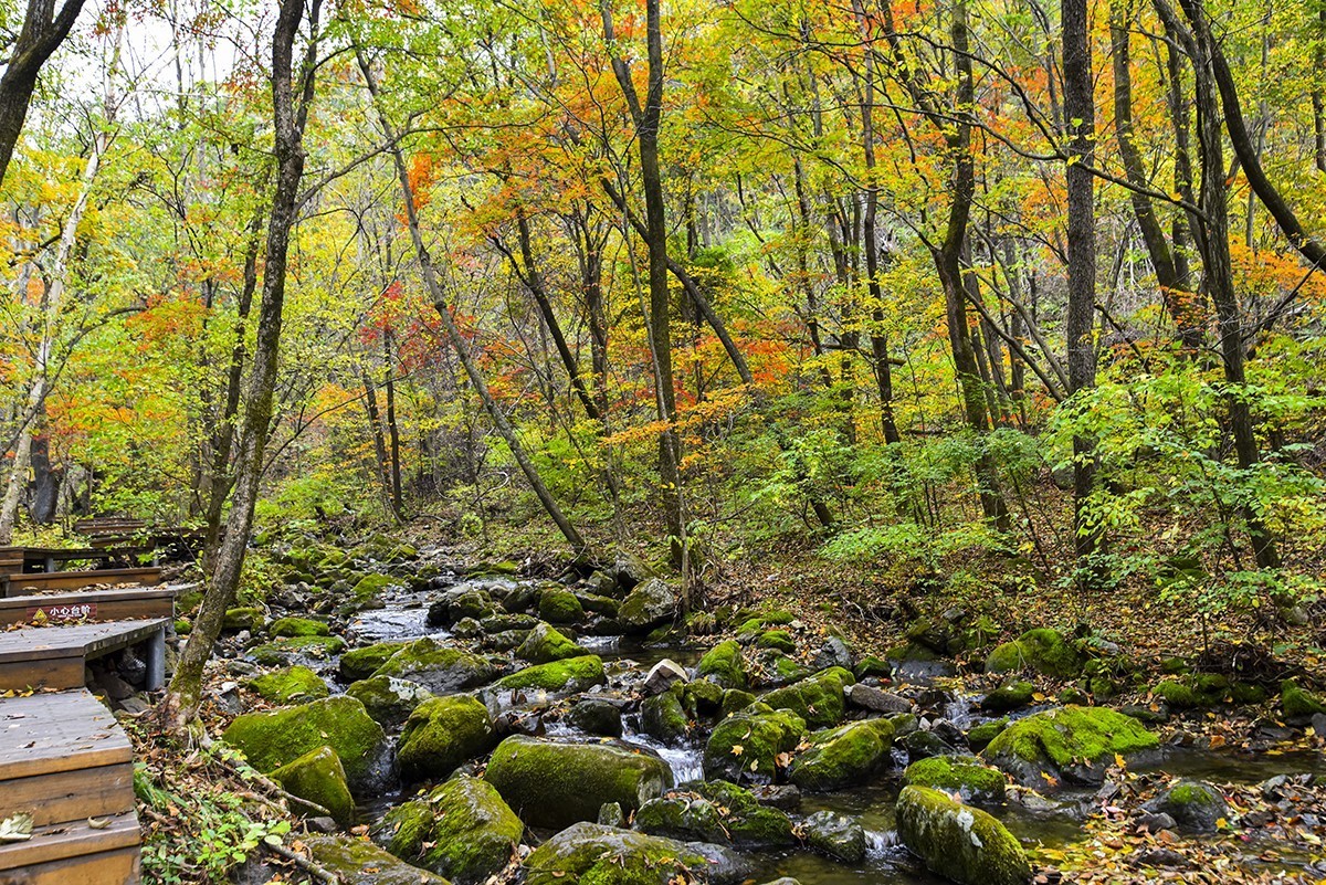 关山湖小景  续