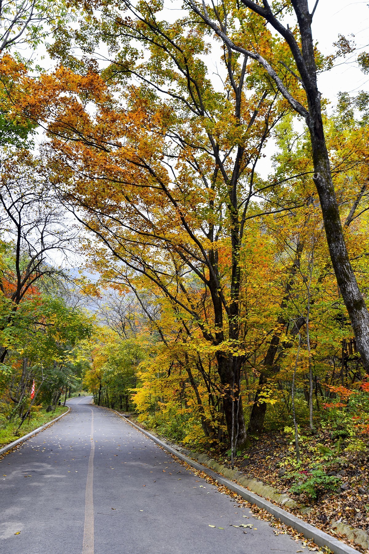 关山湖小景  续