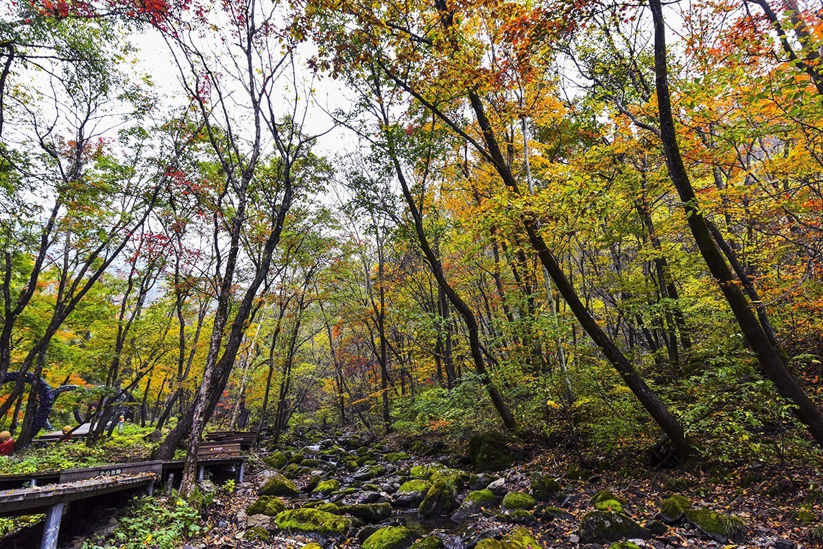 关山湖小景  续