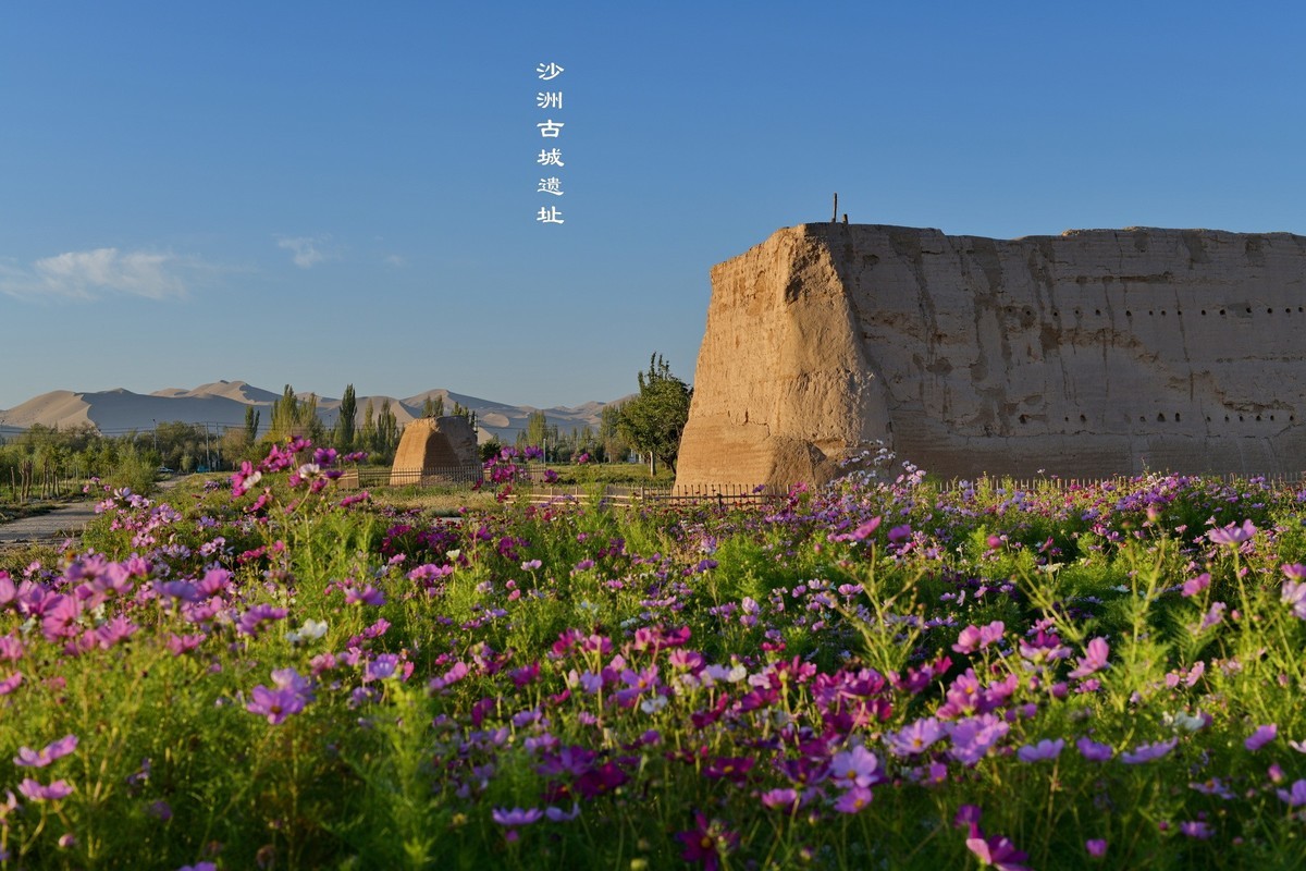 西风冽（4）-敦煌随拍