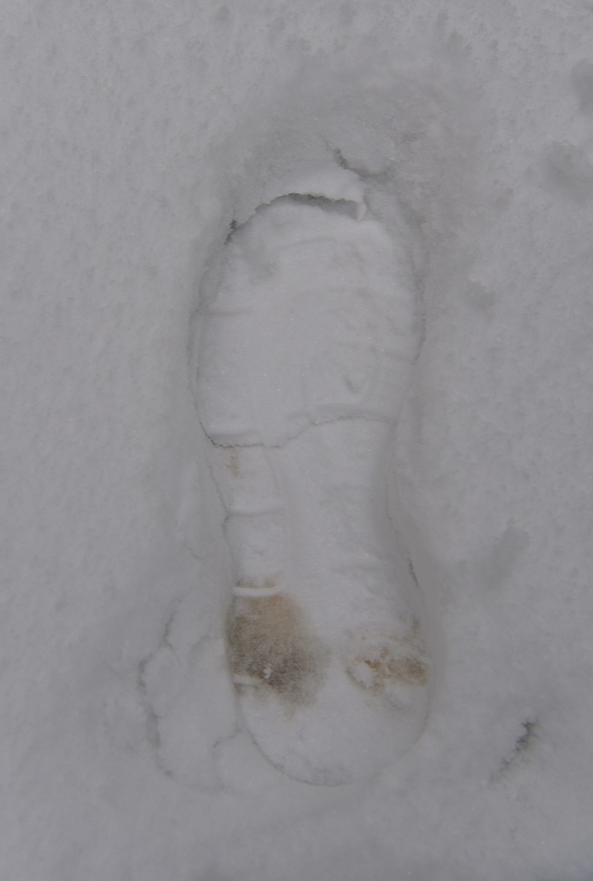 长沙下大雪啦，影记小区美妙雪景（下）