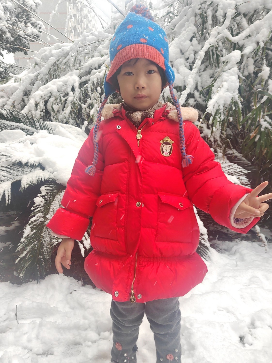 长沙下大雪啦，影记小区美妙雪景（下）