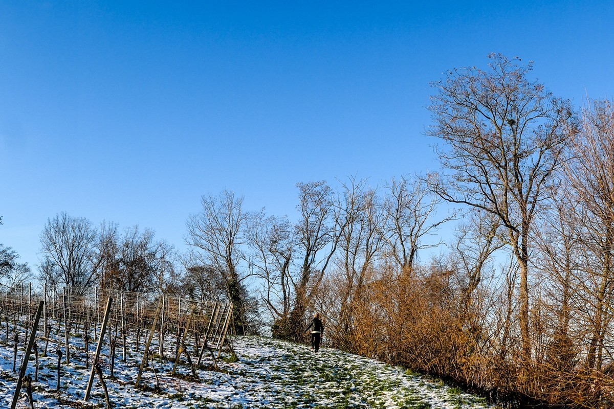 雪景山野（南德）