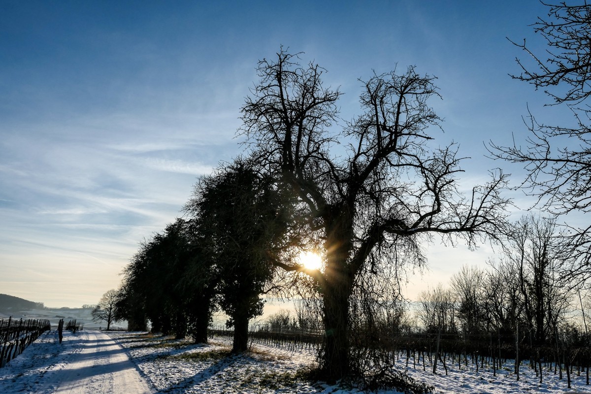 雪景山野（南德）