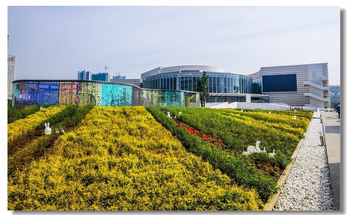 文化中心（武汉东西湖）