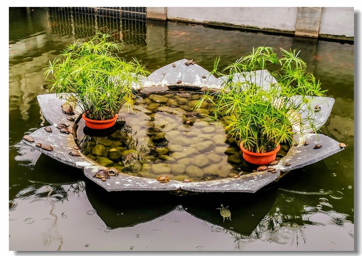 武汉“归元寺”随拍