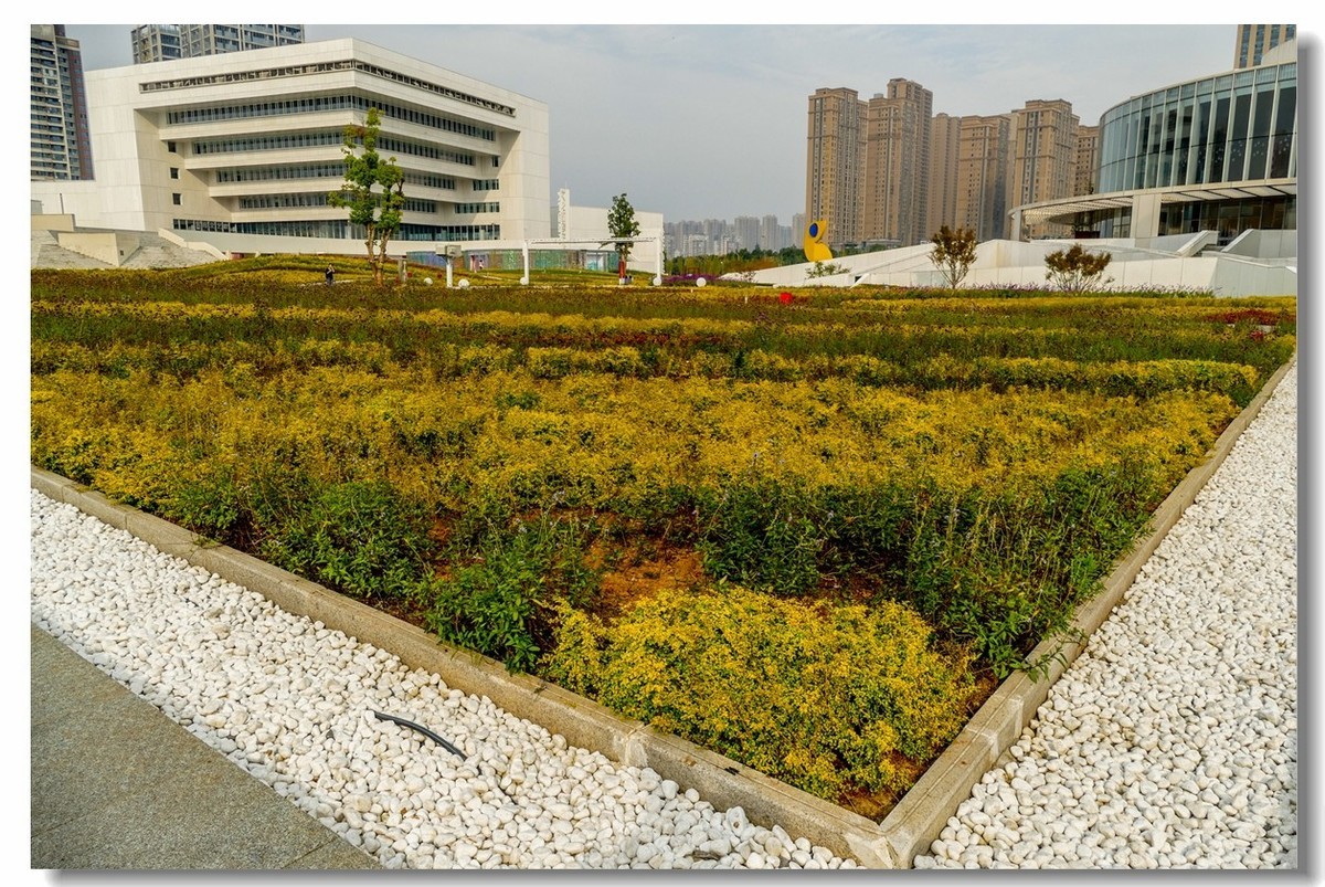 文化中心（武汉东西湖）