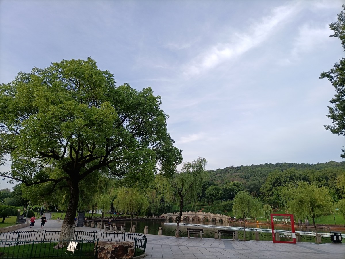 我和春天有场约会