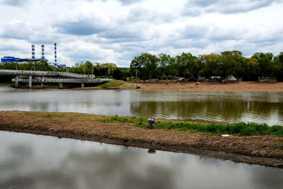 江滨——江心岛之春（7）