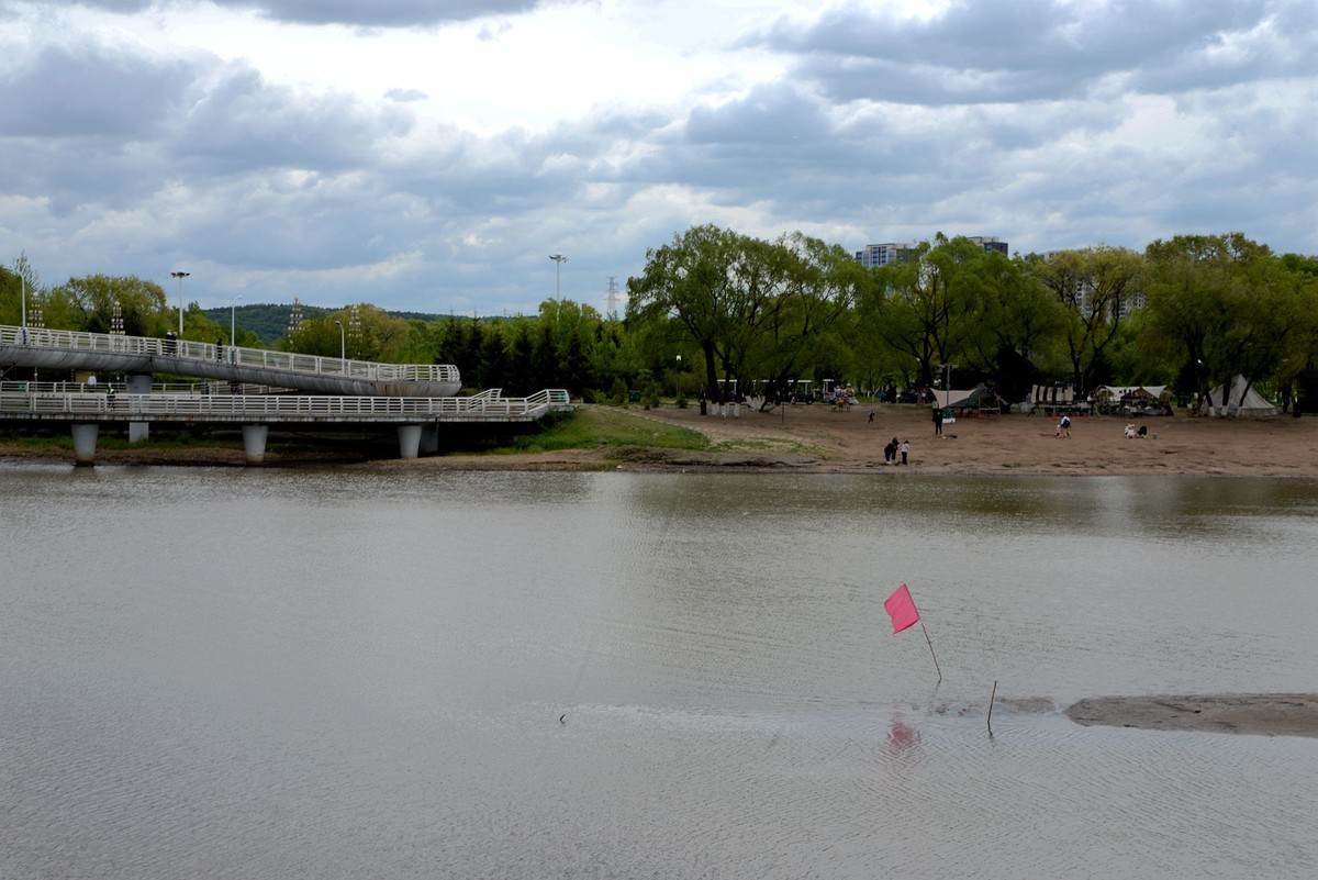 江滨——江心岛之春（7）