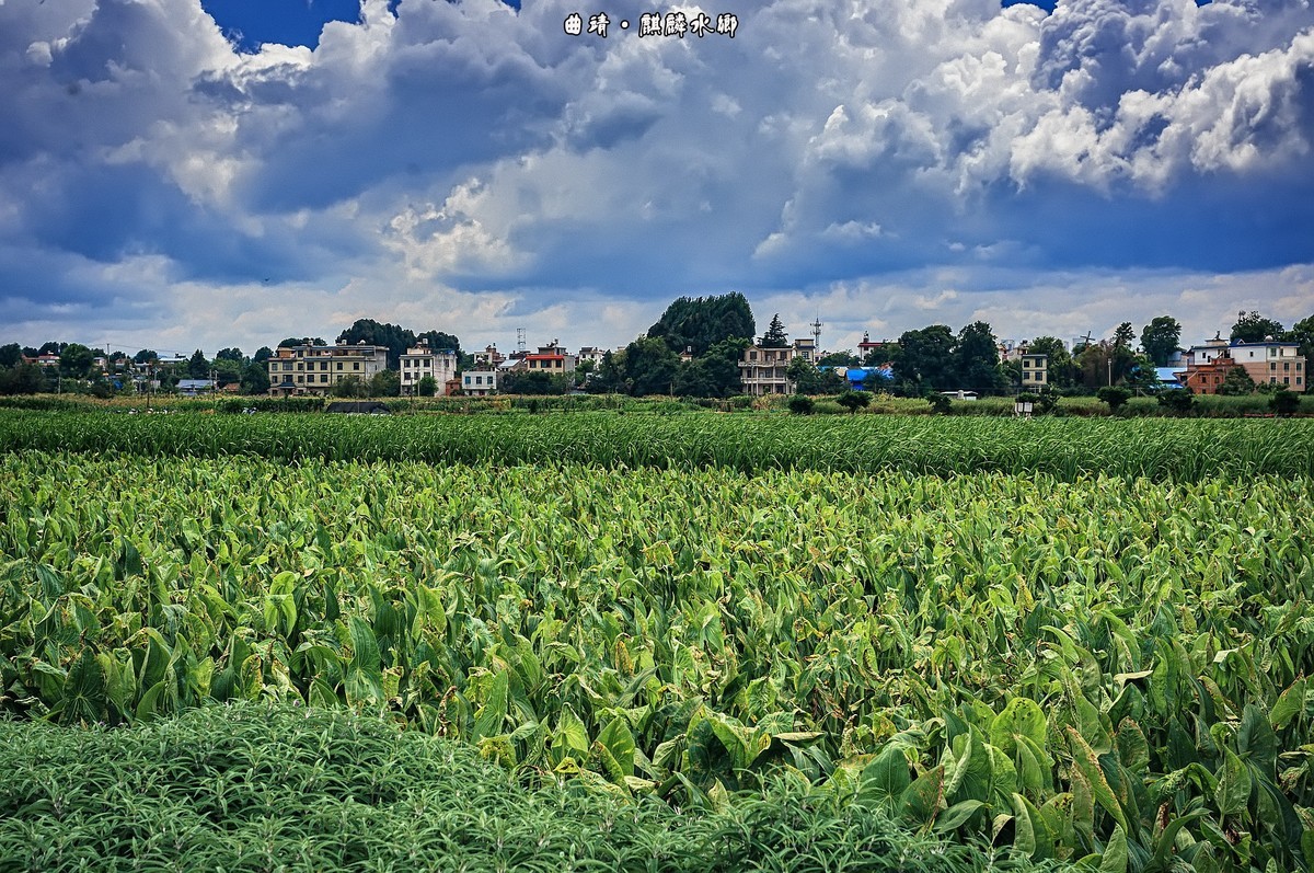 曲靖 · 麒麟水乡（2）