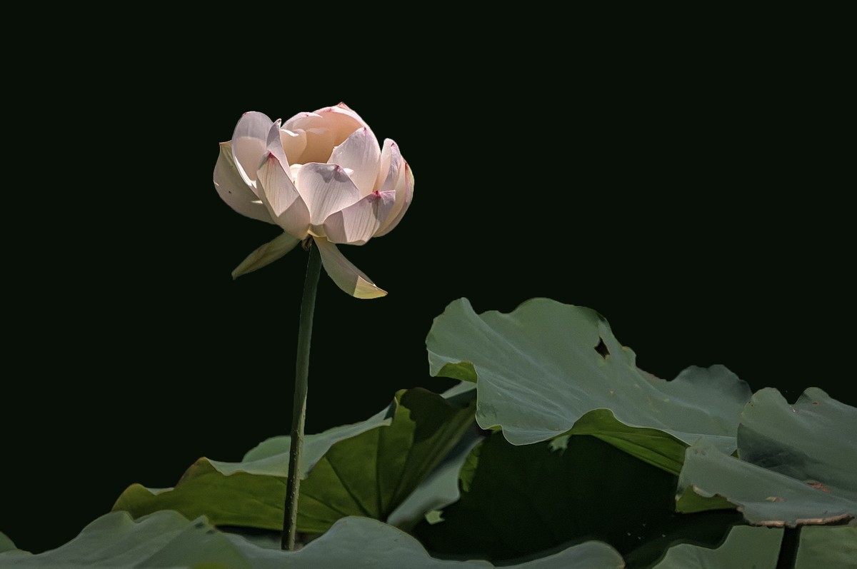 曲靖 · 麒麟水乡（2）