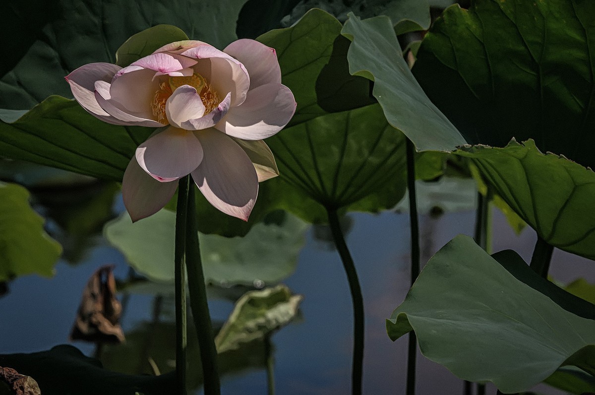 曲靖 · 麒麟水乡（2）