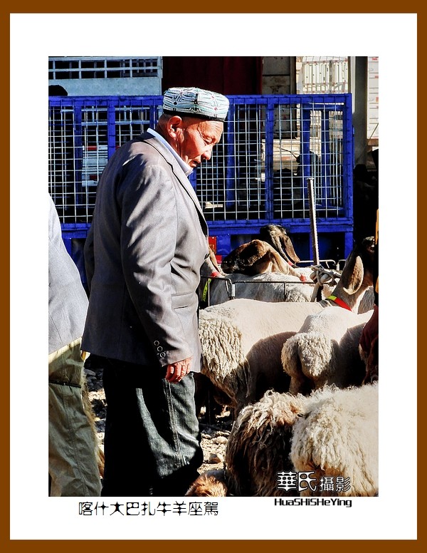 2023西行游记（新疆070）—喀什大巴扎牛羊座驾（喀什）