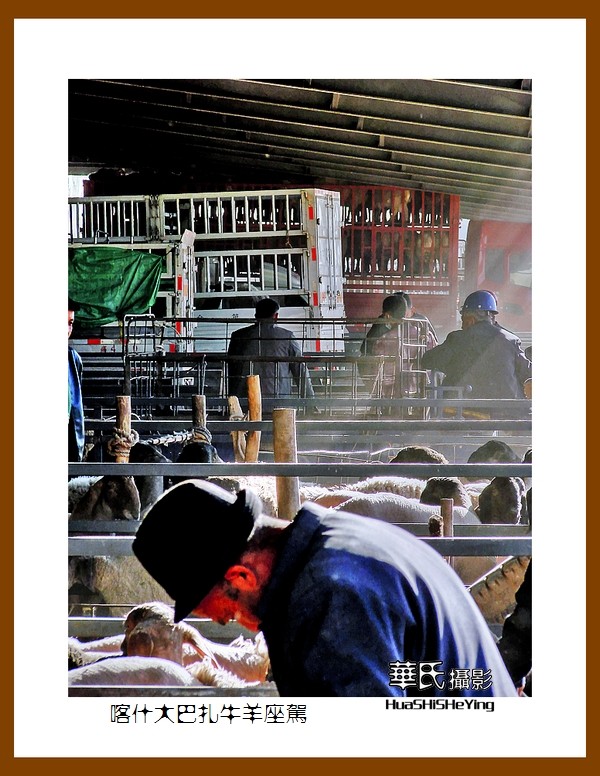 2023西行游记（新疆070）—喀什大巴扎牛羊座驾（喀什）