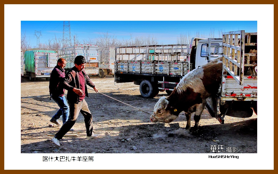 2023西行游记（新疆070）—喀什大巴扎牛羊座驾（喀什）