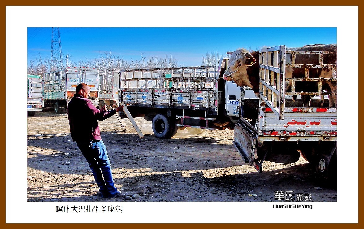 2023西行游记（新疆070）—喀什大巴扎牛羊座驾（喀什）