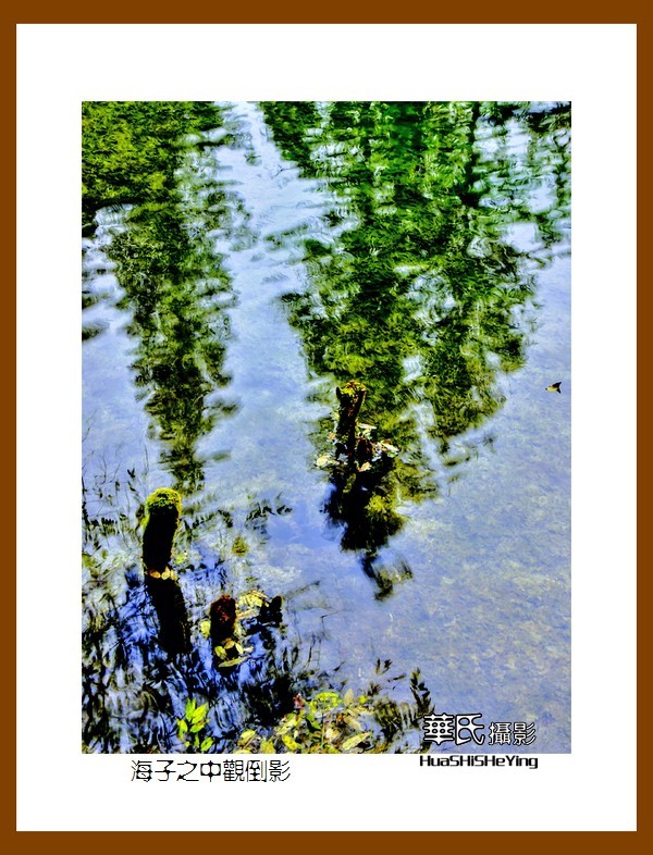 2020西西南北行游走川西168——海子之中观倒影（阿坝州松潘县牟尼沟）