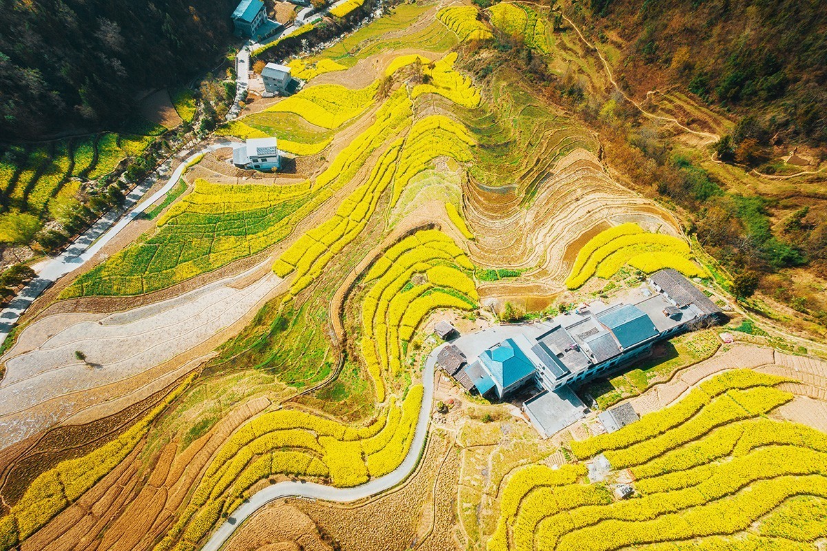 春回大地（请假）