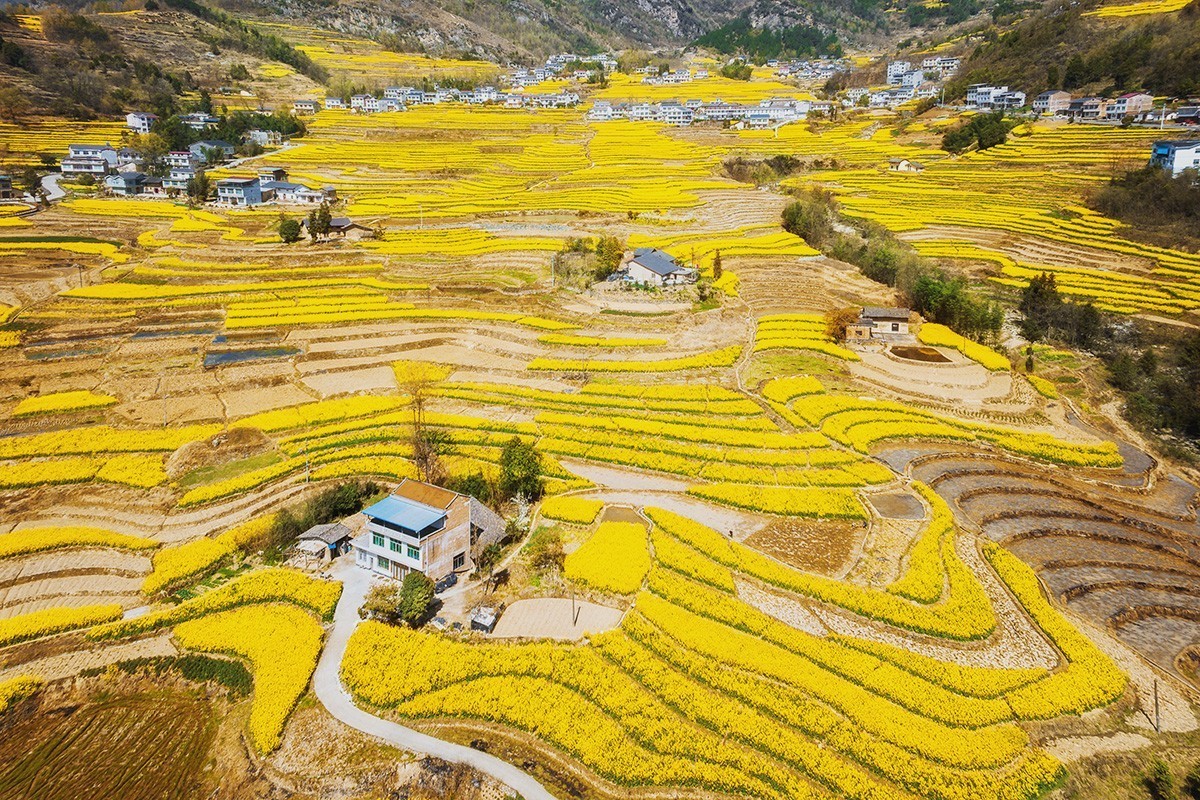 春回大地（请假）