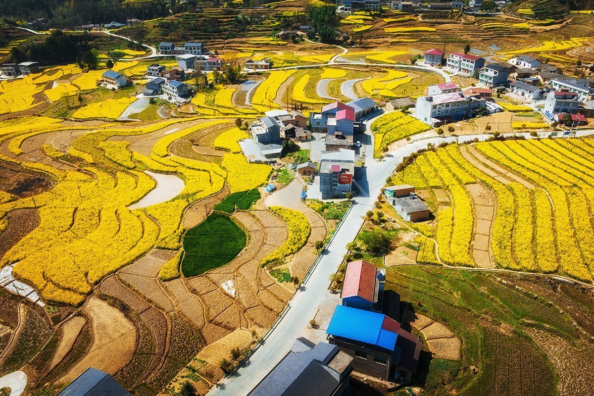 春回大地（请假）