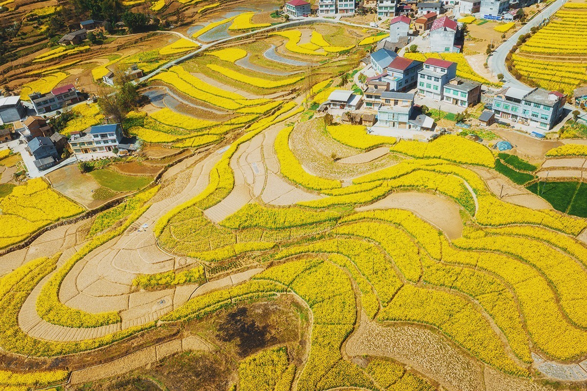 春回大地（请假）
