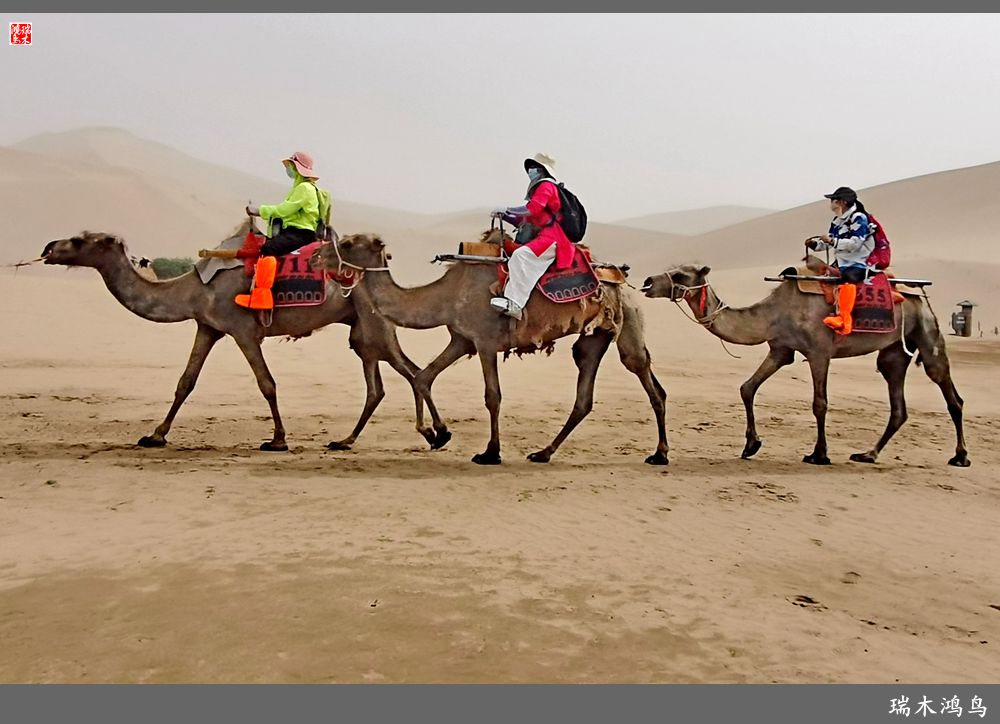 【甘青大环线】10.鸣沙山月牙泉偶遇沙尘暴