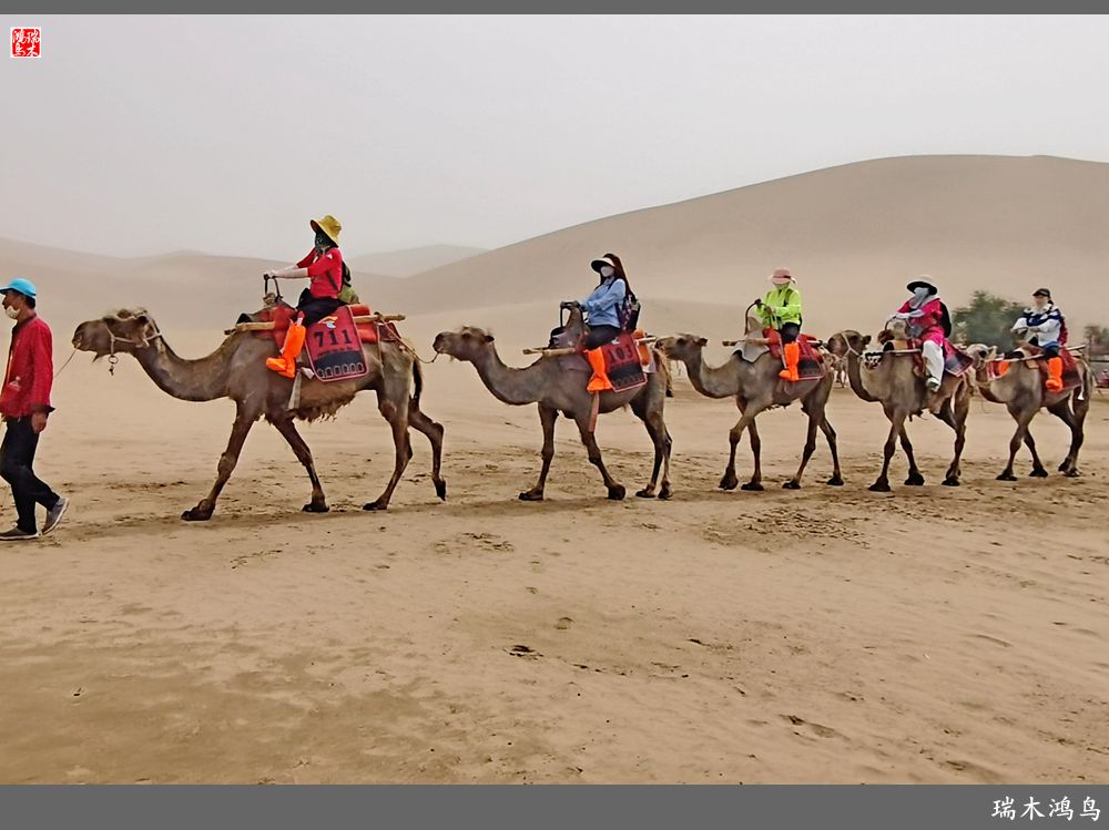 【甘青大环线】10.鸣沙山月牙泉偶遇沙尘暴