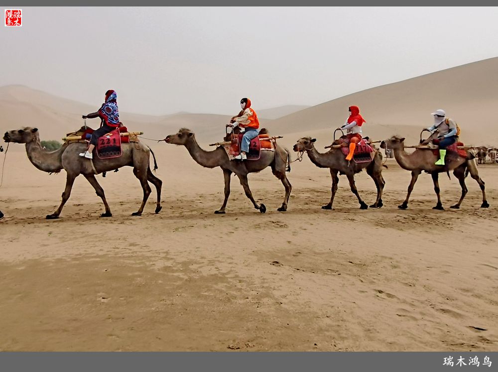 【甘青大环线】10.鸣沙山月牙泉偶遇沙尘暴