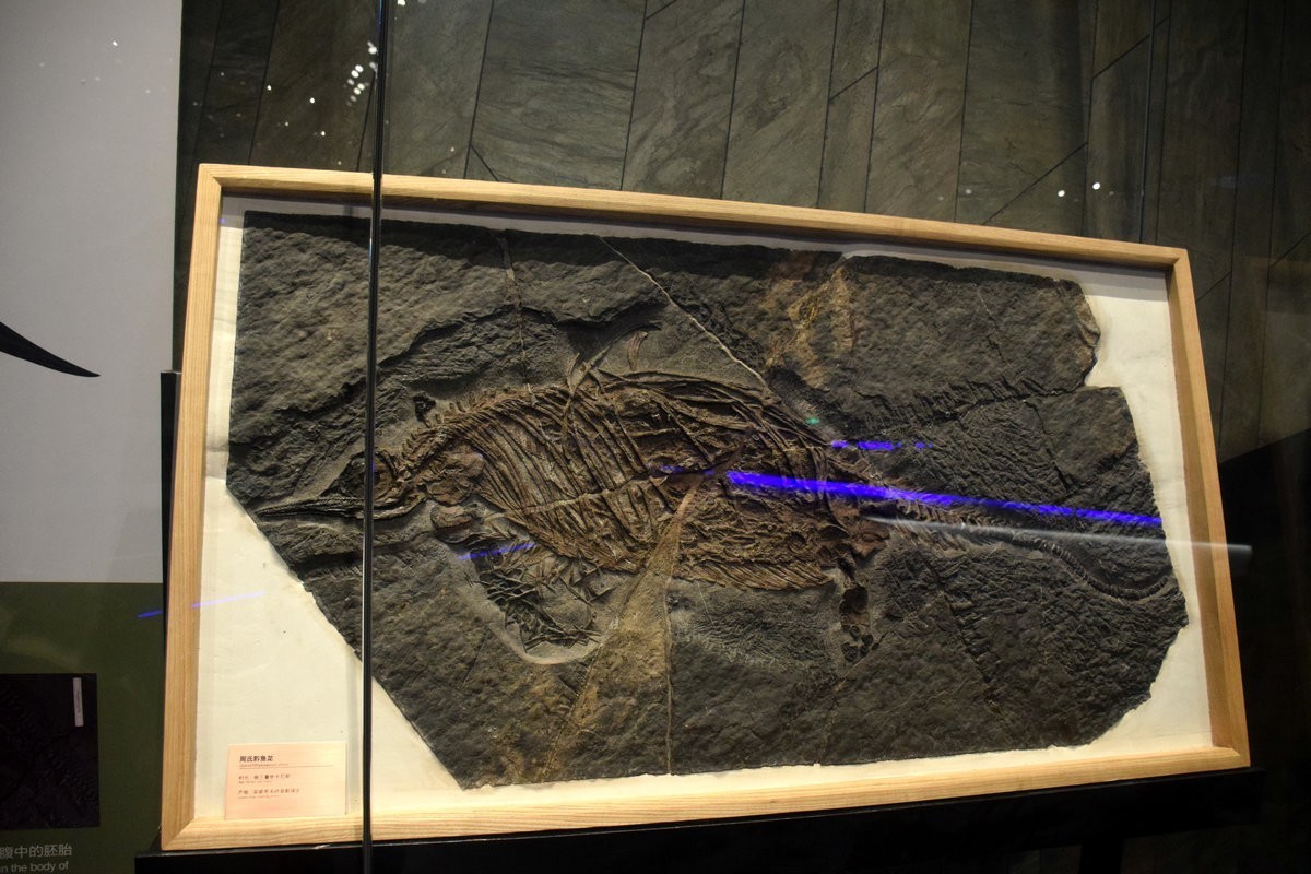 2023夏 黔赣鄂渝川（17）贵博的镇馆之宝