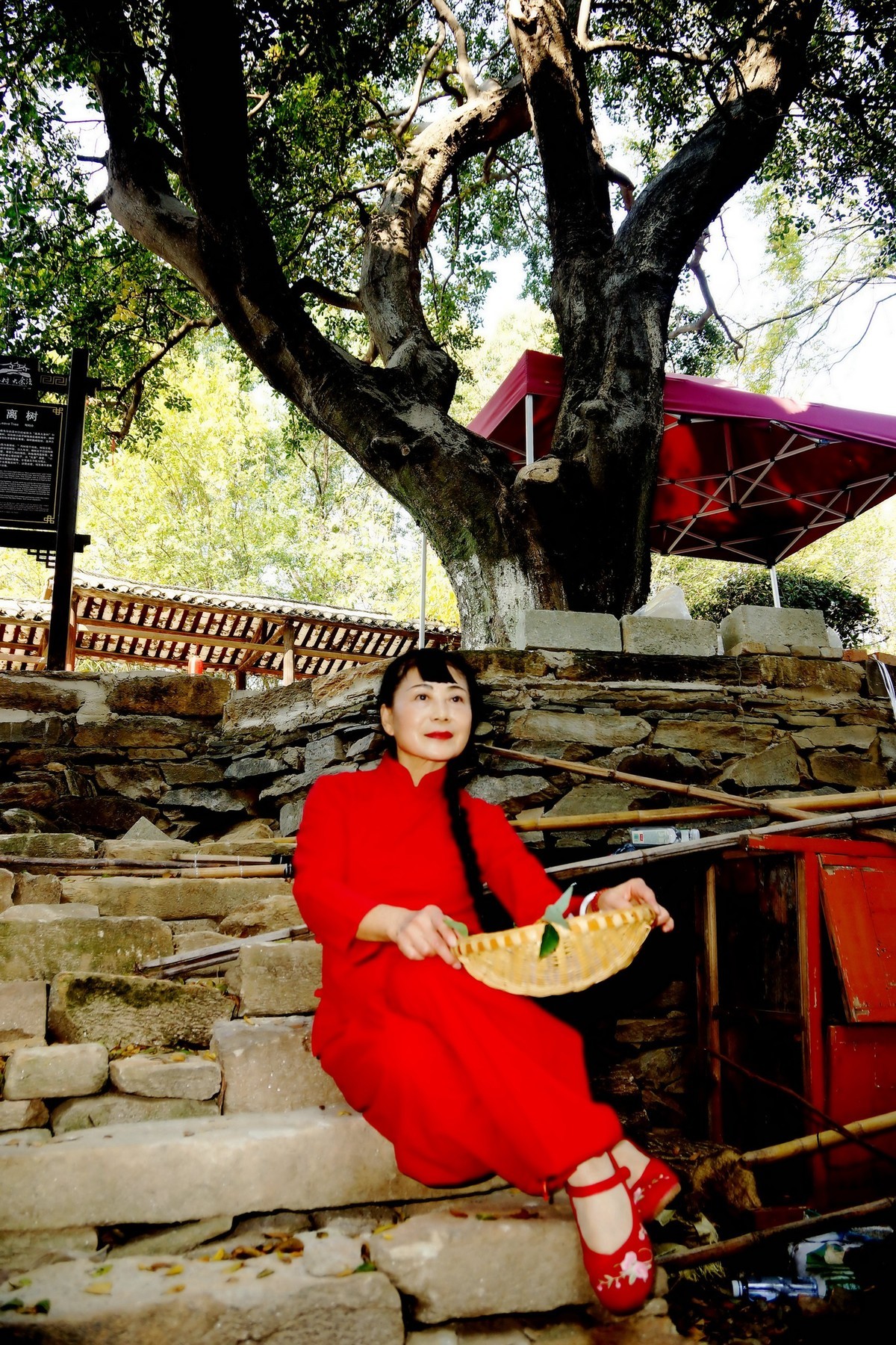 秋收--红红的村姑！