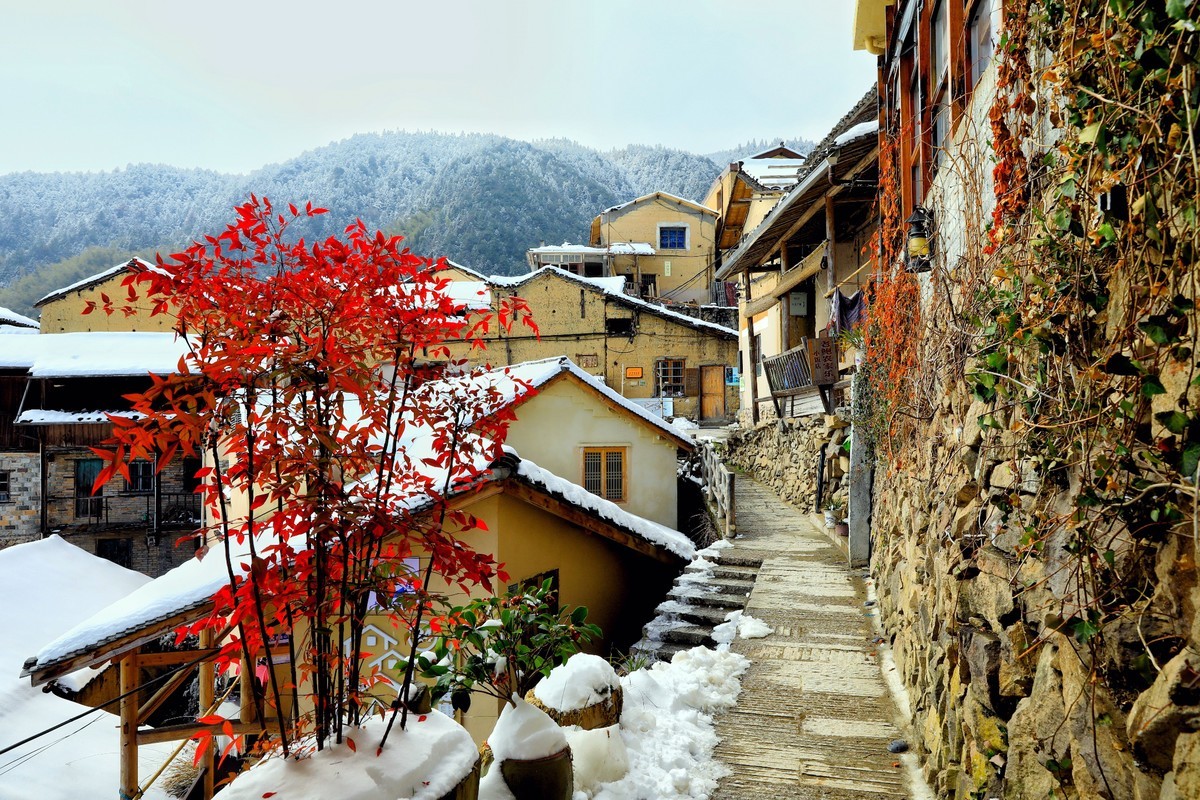 雪后四都乡陈家铺-中关村在线摄影论坛