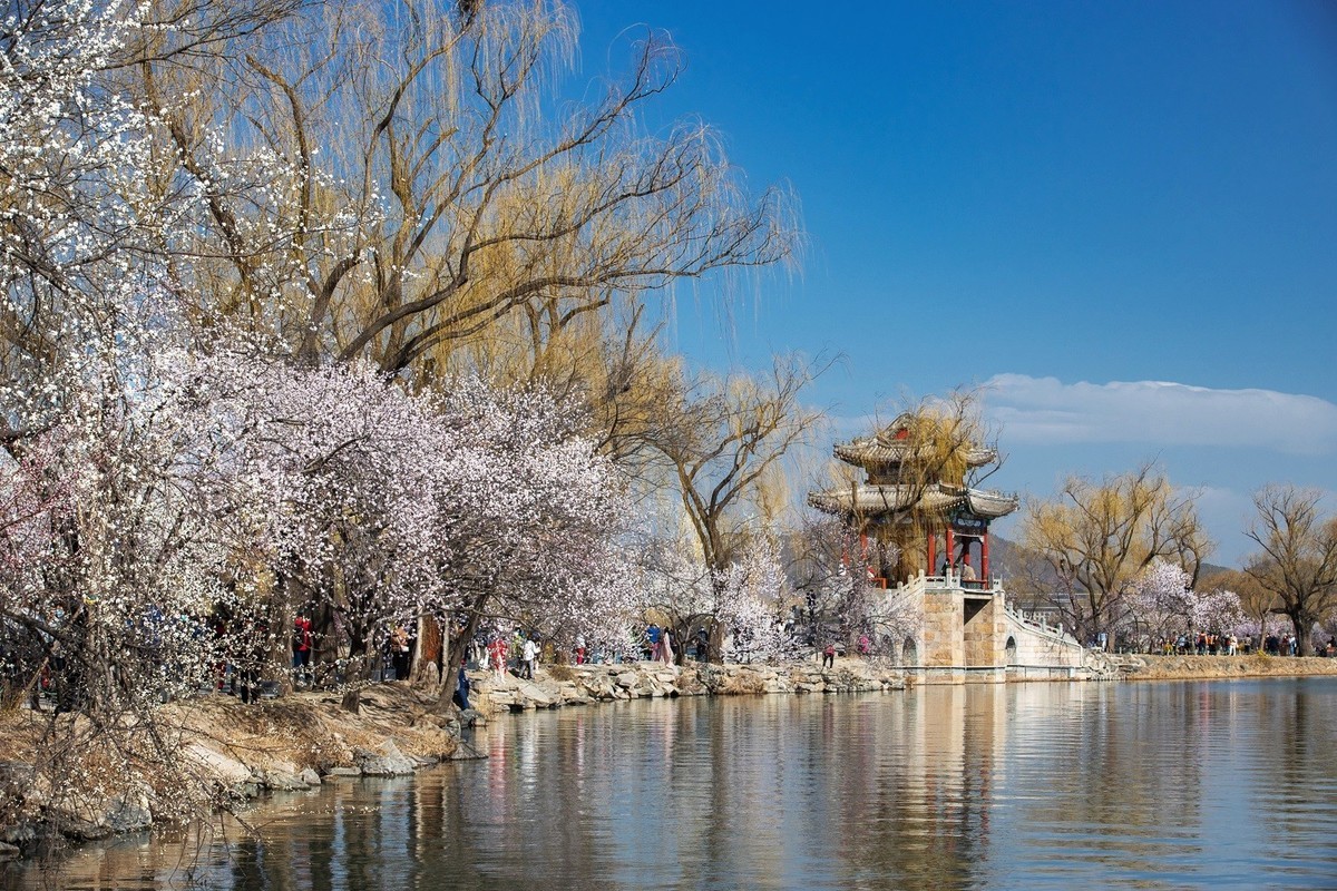 满园深浅色, 照在绿波中。