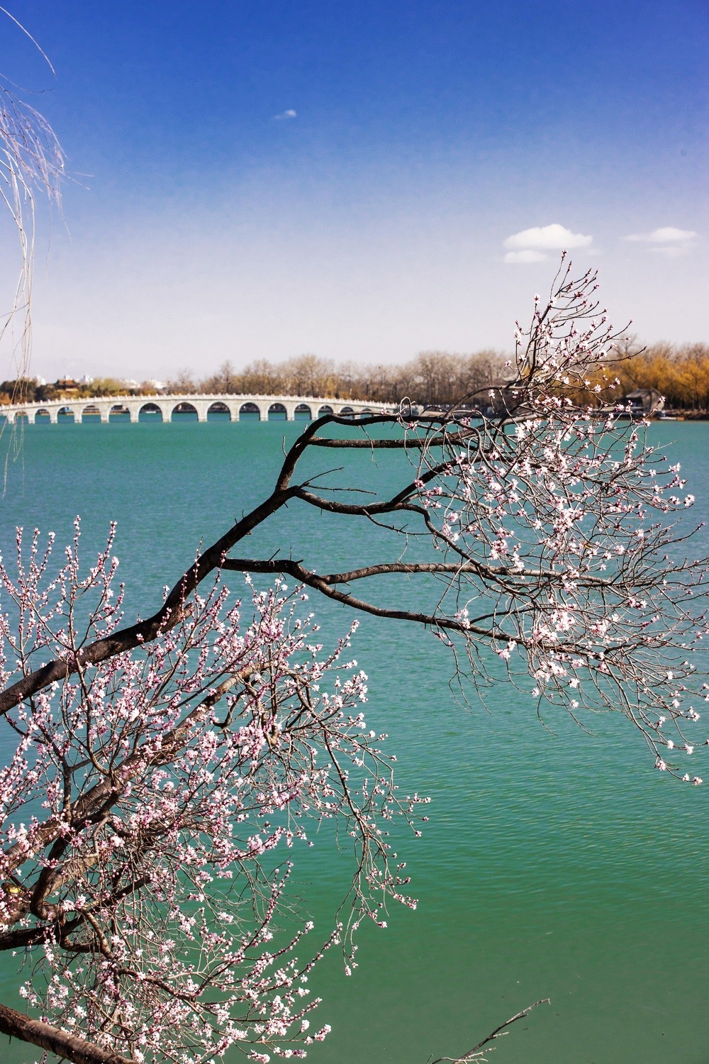 满园深浅色, 照在绿波中。
