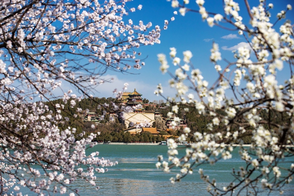 满园深浅色, 照在绿波中。